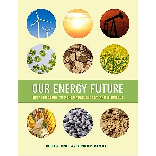 Our Energy Future, Carla S. Jones, Stephen P. Mayfield