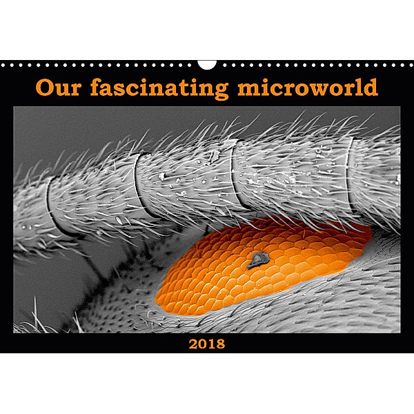 Our fascinating microworld (Wall Calendar 2018 DIN A3 Landscape), Nathalie Braun