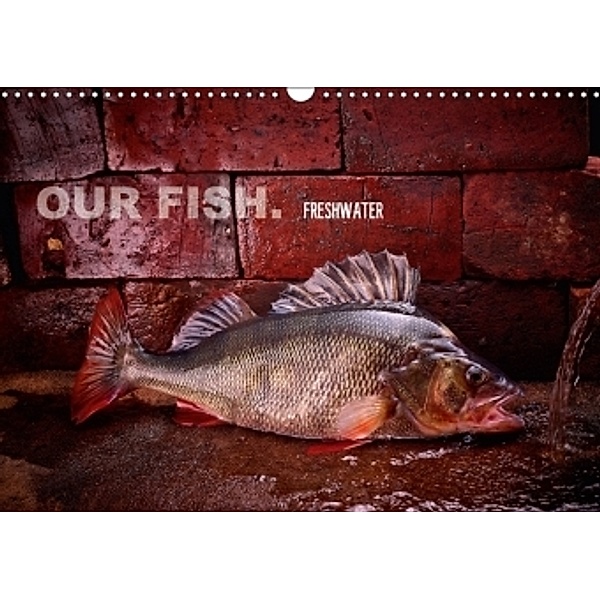 OUR FISH. FRESHWATER. (Wall Calendar 2017 DIN A3 Landscape), arne morgenstern