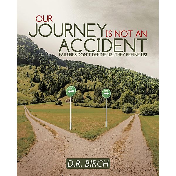 Our Journey Is Not an Accident, D. R. Birch