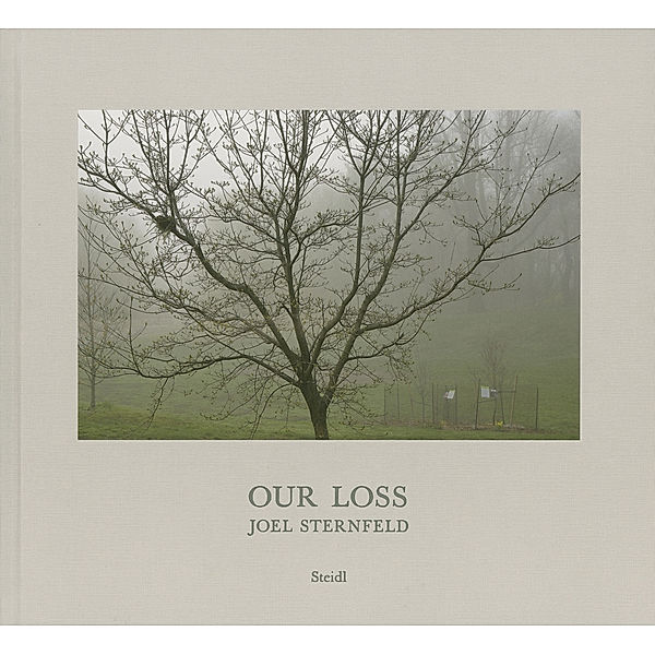 Our Loss, Joel Sternfeld