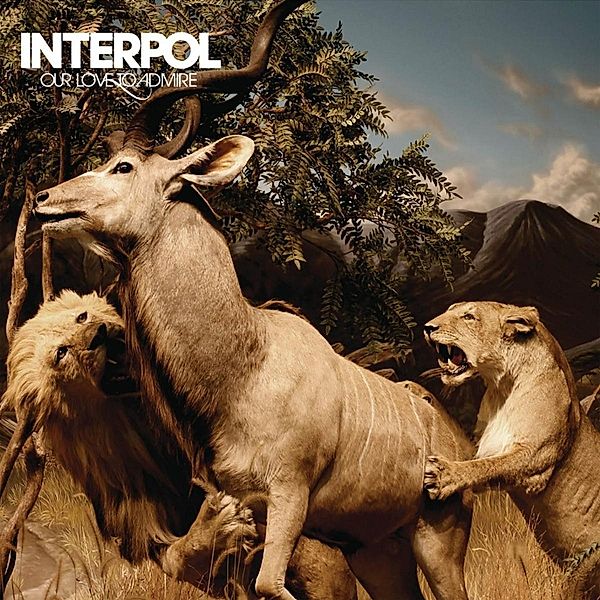 Our Love To Admire, Interpol