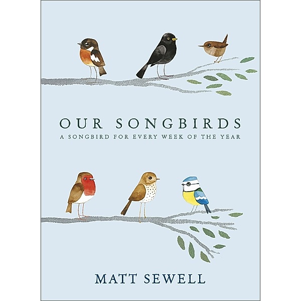 Our Songbirds, Matt Sewell