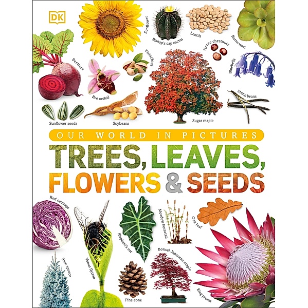 Our World in Pictures: Trees, Leaves, Flowers & Seeds / DK Our World in Pictures, Dk