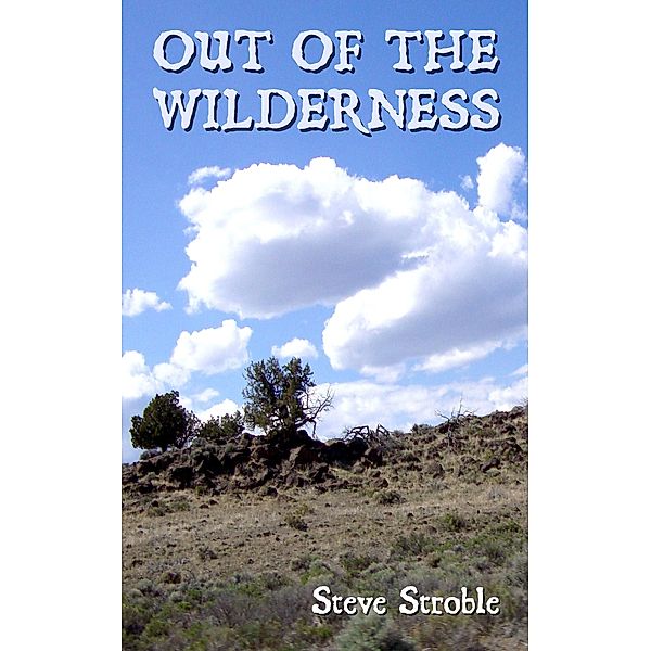 Out of the Wilderness, Steve Stroble