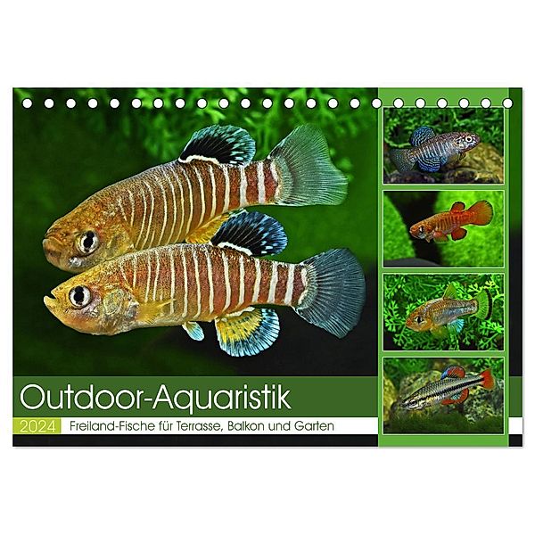 Outdoor-Aquaristik (Tischkalender 2024 DIN A5 quer), CALVENDO Monatskalender, Rudolf Pohlmann