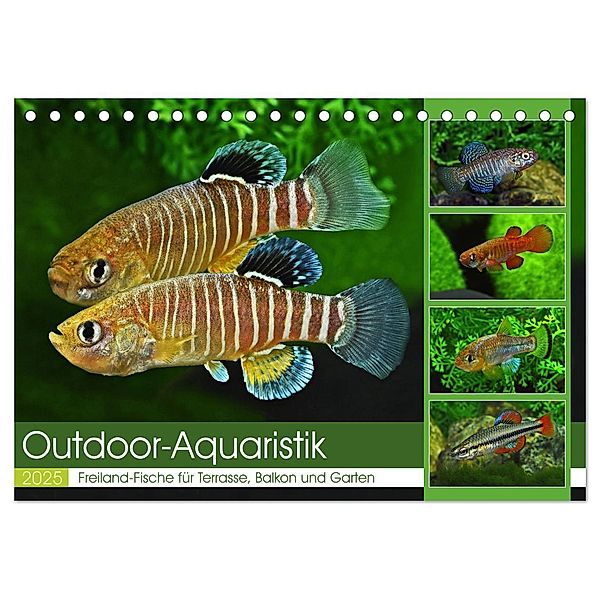 Outdoor-Aquaristik (Tischkalender 2025 DIN A5 quer), CALVENDO Monatskalender, Calvendo, Rudolf Pohlmann