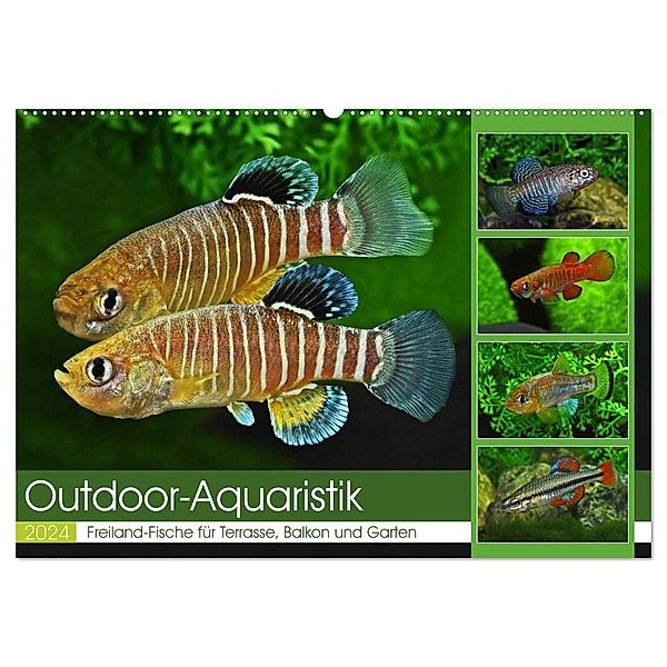 Outdoor-Aquaristik (Wandkalender 2024 DIN A2 quer), CALVENDO Monatskalender, Rudolf Pohlmann