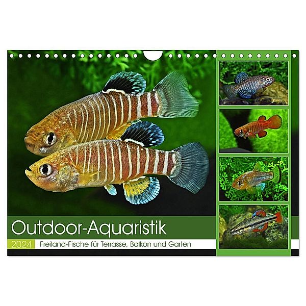 Outdoor-Aquaristik (Wandkalender 2024 DIN A4 quer), CALVENDO Monatskalender, Rudolf Pohlmann