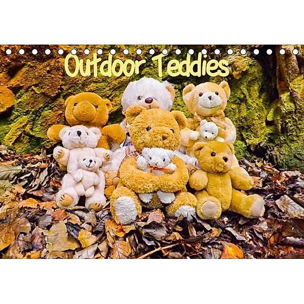 Outdoor Teddies (Tischkalender 2017 DIN A5 quer), Karin Sigwarth