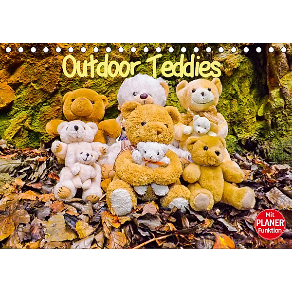Outdoor Teddies (Tischkalender 2019 DIN A5 quer), Karin Sigwarth