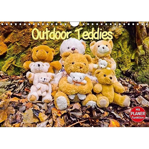 Outdoor Teddies (Wandkalender 2017 DIN A4 quer), Karin Sigwarth
