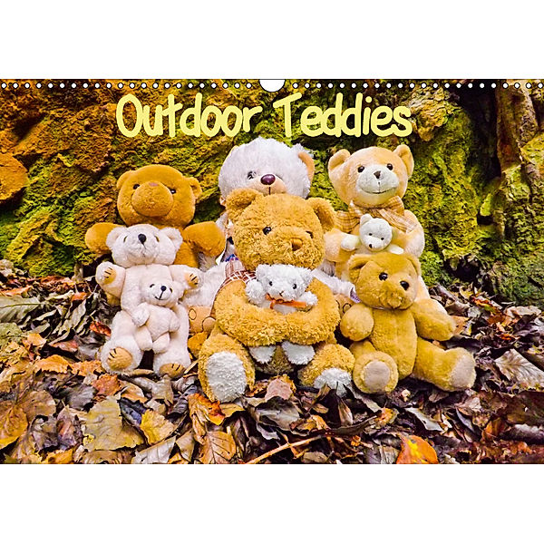 Outdoor Teddies (Wandkalender 2019 DIN A3 quer), Karin Sigwarth