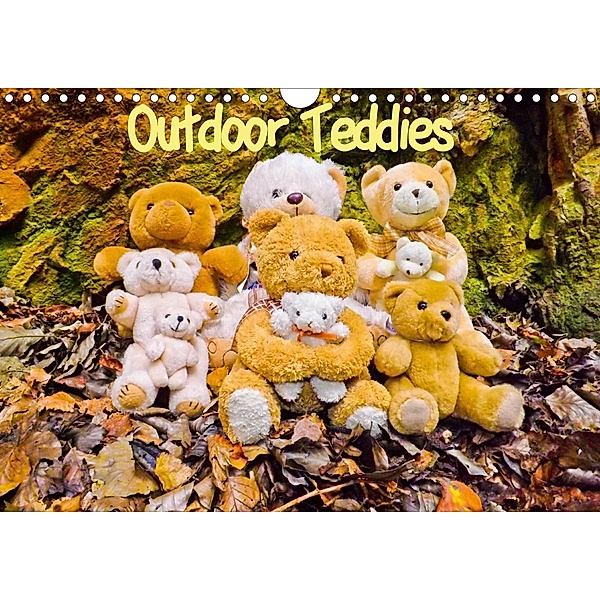 Outdoor Teddies (Wandkalender 2020 DIN A4 quer), Karin Sigwarth