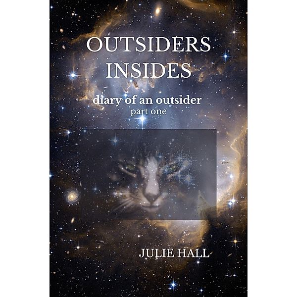 Outsidersinsides - Diary of an Outsider, Julie Hall
