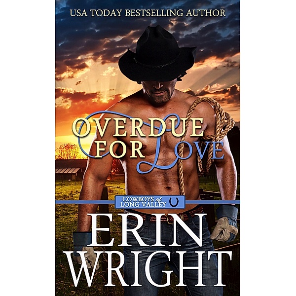 Overdue for Love: A Secret Baby Western Romance (Cowboys of Long Valley Romance, #6) / Cowboys of Long Valley Romance, Erin Wright