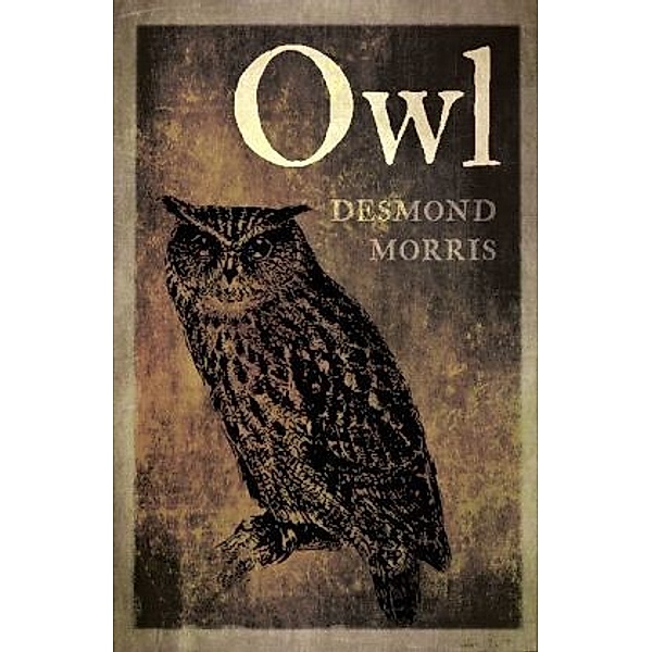 Owl, Desmond Morris