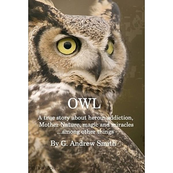 OWL A True Story About Heroin Addiction, Mother Nature, Magic and Miracles . . . Among Other Things, G. Andrew Smith