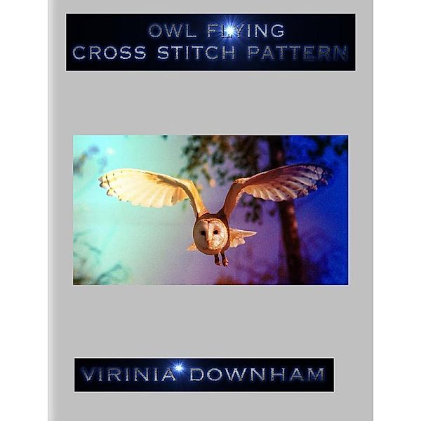Owl Flying Cross Stitch Pattern, Virinia Downham