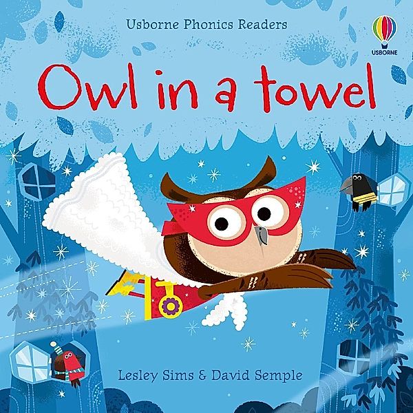 Owl in a Towel, Lesley Sims
