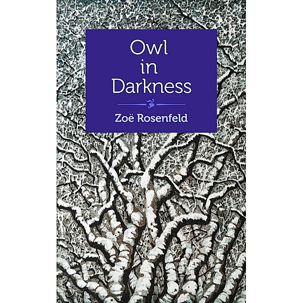 Owl in Darkness, Zoë Rosenfeld