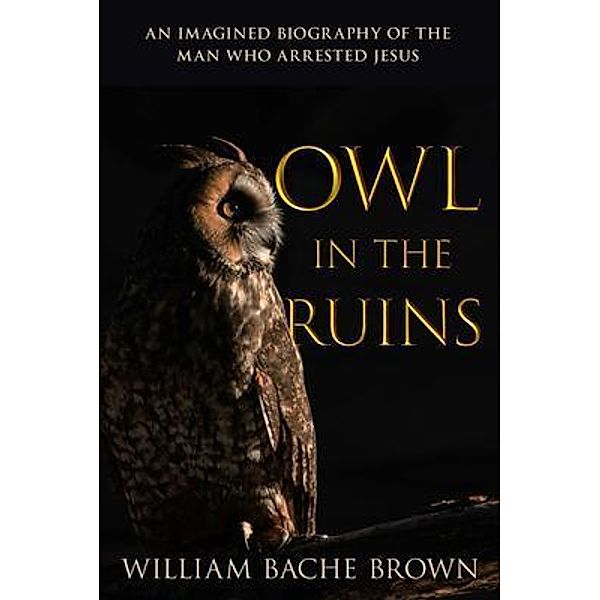 Owl in the Ruins / William Bache Brown, William Bache Brown