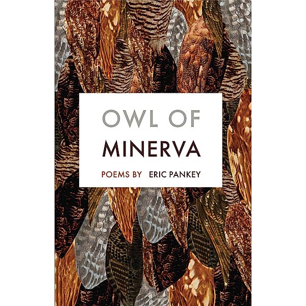 Owl of Minerva, Eric Pankey