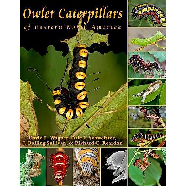 Owlet Caterpillars of Eastern North America, David L. Wagner