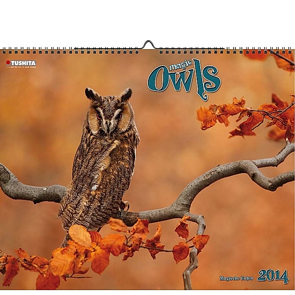 Owls 2014 Decor Calendar