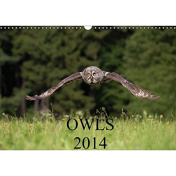 Owls 2014 / UK Version (Wall Calendar 2014 DIN A3 Landscape), Milan Zygmunt