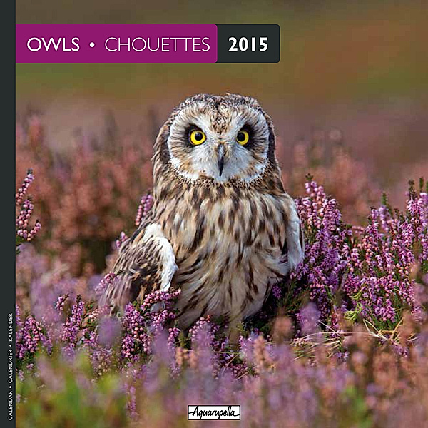 Owls 2015. Chouettes