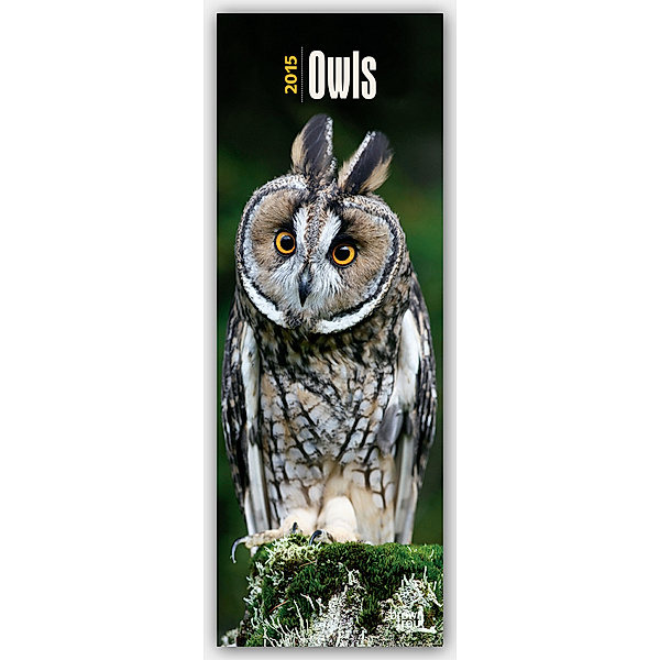 Owls 2015 Slimline Calendar