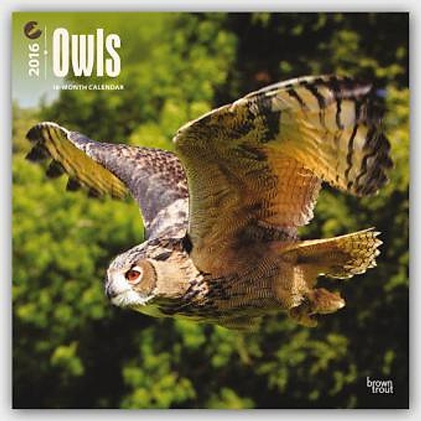 Owls 2016