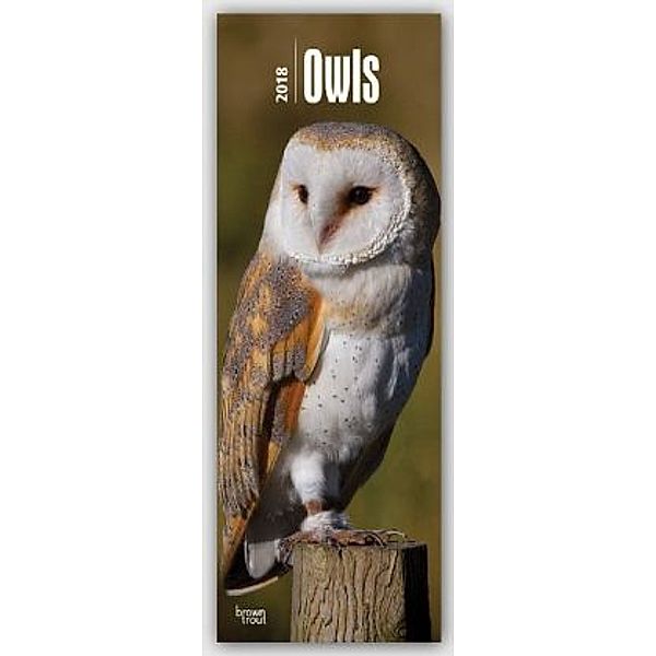 Owls 2018, BrownTrout Publisher