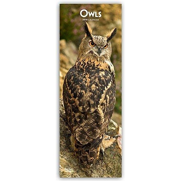Owls 2019, BrownTrout Publisher