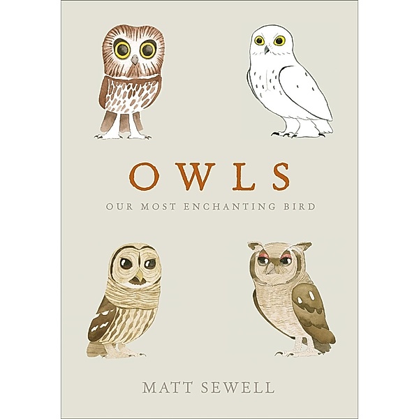 Owls, Matt Sewell