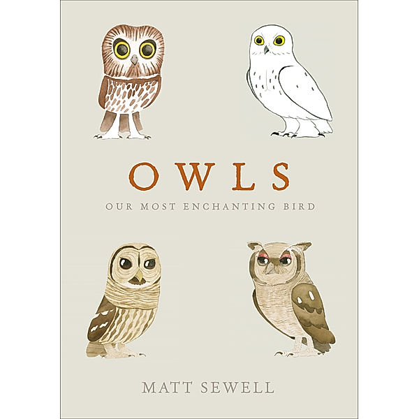 Owls, Matt Sewell