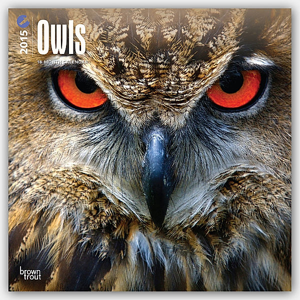 Owls, Broschürenkalender 2015
