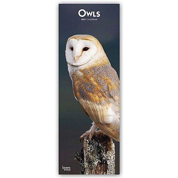 Owls - Eulen 2021, BrownTrout Publishers