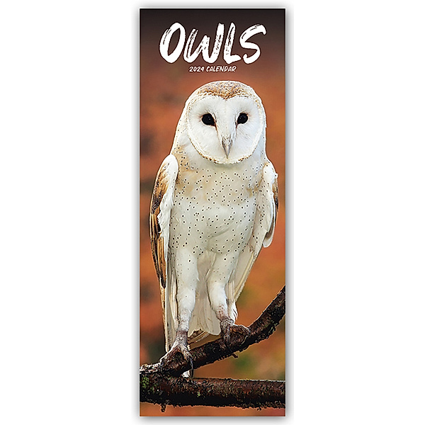 Owls - Eulen 2024, Avonside Publishing Ltd