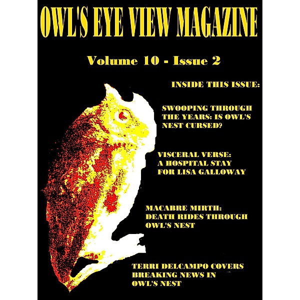 Owl's Eye View Magazine - Volume 10 - Issue 2, Melanie Mirth, Margie Taggart, Terri DelCampo, Lisa Galloway