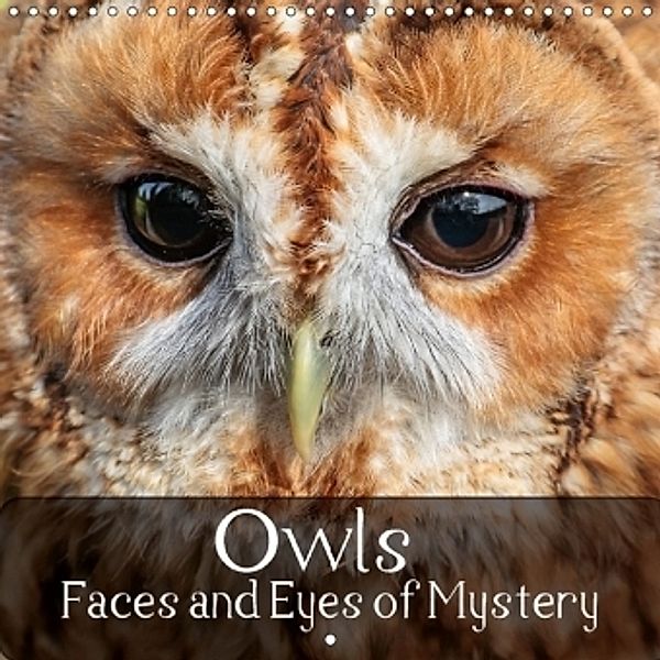 Owls Faces and Eyes of Mystery (Wall Calendar 2017 300 × 300 mm Square), Dalyn