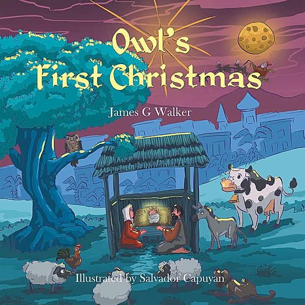 Owl's First Christmas, James G Walker