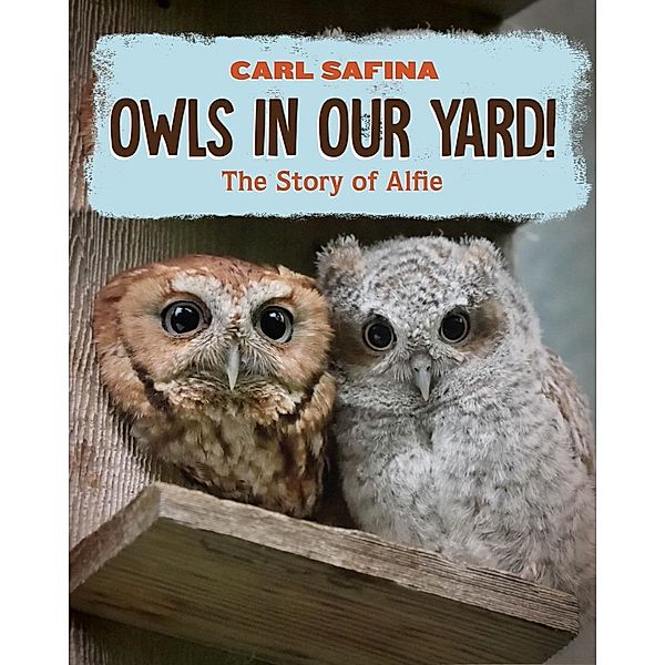 Owls in Our Yard!: The Story of Alfie, Carl Safina