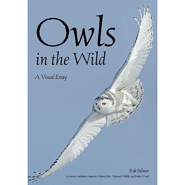 Owls In The Wild, Rob Palmer