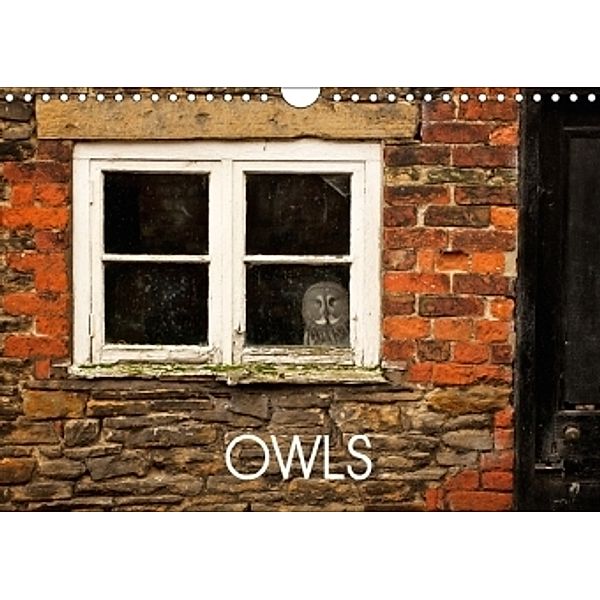 Owls (Wall Calendar 2017 DIN A4 Landscape), Mark Bridger