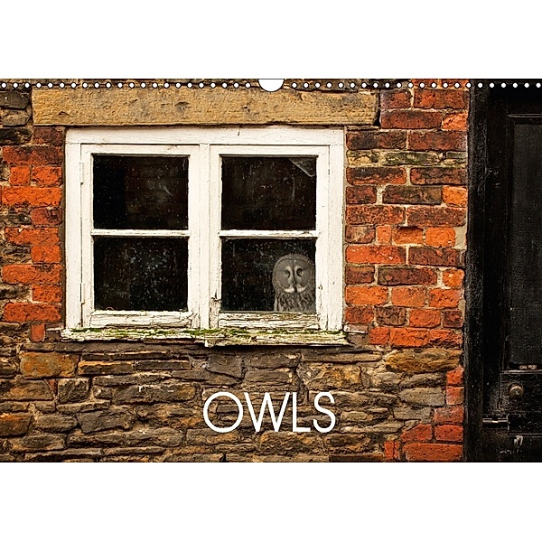 Owls (Wall Calendar 2018 DIN A3 Landscape), mark bridger