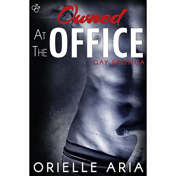 Owned at the Office / At the Office, Orielle Aria