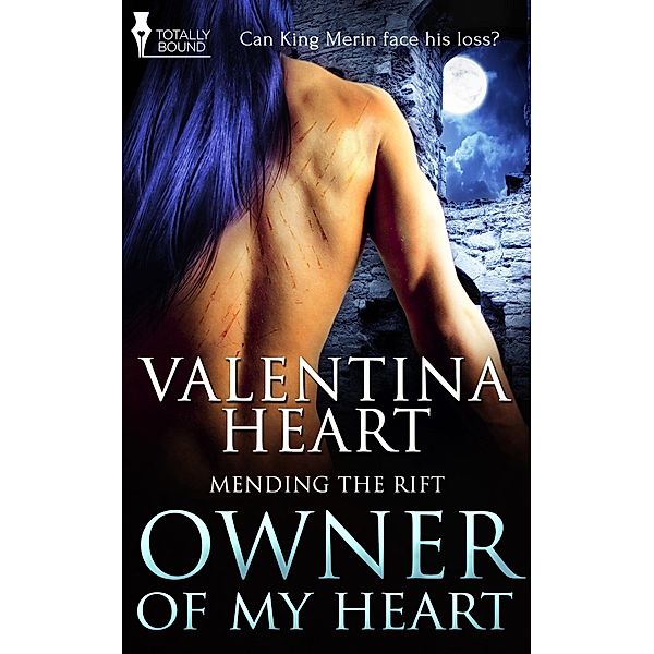 Owner of My Heart / Mending the Rift Bd.2, Valentina Heart