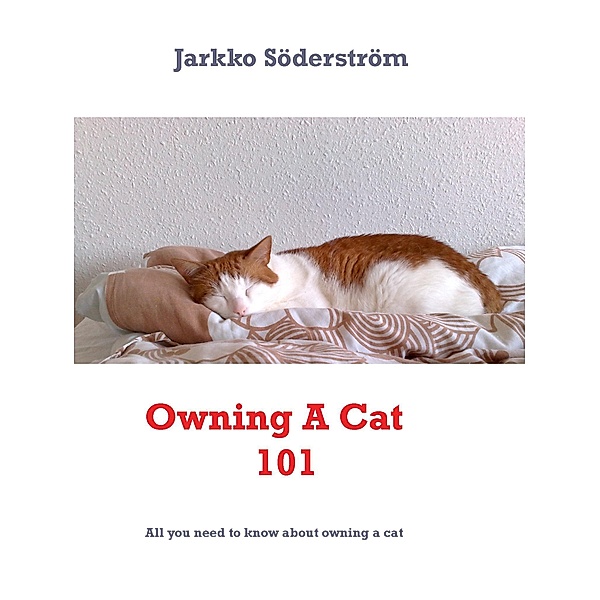 Owning A Cat 101, Jarkko Söderström